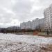 Площадка для выгула собак в городе Нижнекамск