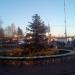 Клумба в городе Истра