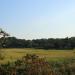 East Creek Preserved Wetlands