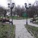 Яблоневый сад в городе Долгопрудный
