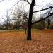 Park Czechowicki (pl) in Warsaw city