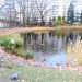 Staw (pl) in Warsaw city