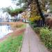 Park Achera (pl) in Warsaw city