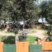 Динопарк в городе Великие Луки