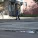 Пешеходный переход в городе Великие Луки