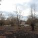 Парковые насаждения в городе Славянск
