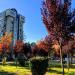 Melrose Plaza in Tirana city