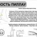 Береговая торпедная батарея (немецкая) в городе Балтийск