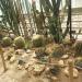 Exposition greenhouse of cacti and succulents (en)
