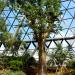 Seoul Metropolitan Plant Culture Center Baobab Tree in Seoul city