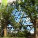 Seoul Metropolitan Plant Culture Center Baobab Tree in Seoul city