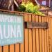 Rajaportin sauna in Tampere city