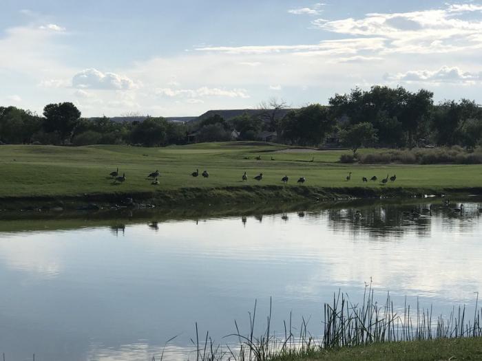 Ladera Golf Course Albuquerque, New Mexico