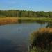 Ochotka (pl) in Tychy city