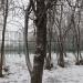 Спортивная площадка в городе Красногорск