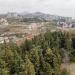 ГУП «НИИ Садоводства и субтропических культур» в городе Сочи