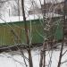 Гаражи в городе Красногорск