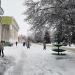 Подвесной цветник-кашпо в городе Каменск-Шахтинский