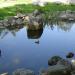 Сад камней с искусственным маленьким прудом в городе Южно-Сахалинск