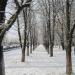 Зелёная зона в городе Донецк