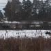 Ольховая ул., 5 в городе Красногорск