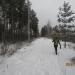 Дороги нет - завал в городе Вырица
