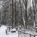 Городское кладбище № 1 в городе Таруса