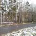 Школьный парк в городе Краснокамск