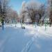 Спортивний майданчик (uk) в городе Мирноград