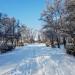 Парк в городе Мирноград