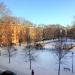 Sorsapuistontalo (fi) in Tampere city