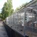 Chicken coops in Tampere city