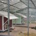 Chicken coops in Tampere city
