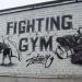Спортивна зала Fighting Gym в місті Житомир