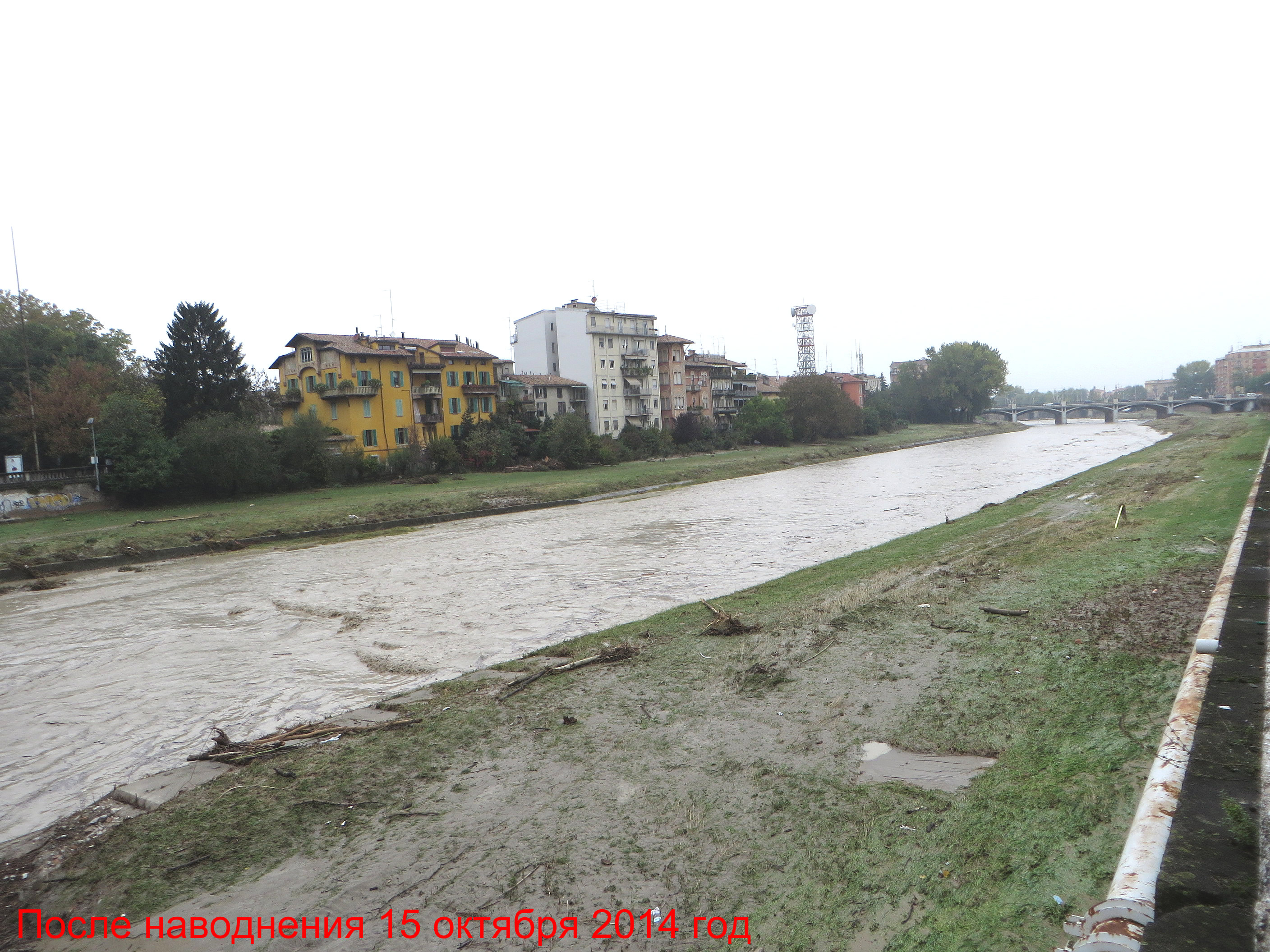 Parma