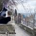 Скульптура «Кошка» в городе Гурзуф