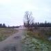 Кутепкина горка в городе Гатчина