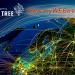 Студия веб-дизайна «WEB TREE Digital agency» в городе Казань