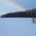Заячий лесок в городе Архангельск