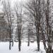 Лесная ул., 16 в городе Дзержинский