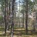 Kuoppajärvi