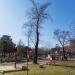 Playground in Tirana city