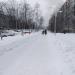 Светлый бульвар в городе Дзержинский