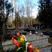 Graveyard in Podkowa Leśna