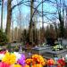 Graveyard in Podkowa Leśna