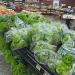 Supermercados Proença - Loja 16 na Catanduva city