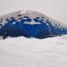 Aviasport Arena roofed football/soccer stadium in Imatra city