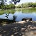 Butterfly Pond in Yangon city