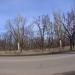 Парк в городе Мирноград