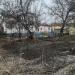 Заросший двор в городе Пинск